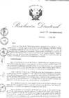 Vista preliminar de documento RD-033-2018-CENFOTUR-DN