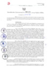 Vista preliminar de documento Resolución Directoral. Nº 1121 - 2023 