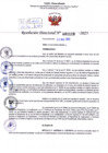 Vista preliminar de documento Resolución Directoral. Nº 1110 