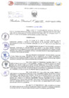 Vista preliminar de documento Resolución Directoral. Nº 1137 - 2023 