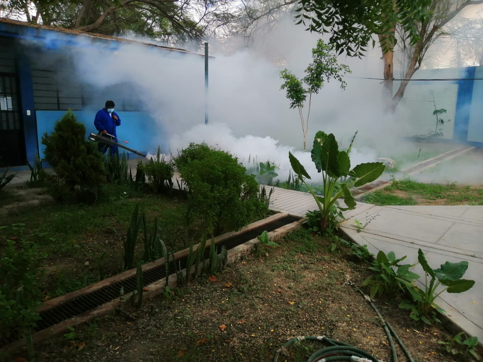 Instituciones educativas son fumigadas para evitar la proliferación del dengue