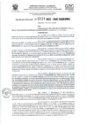 Vista preliminar de documento RD- 131.pdf