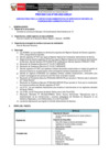 Vista preliminar de documento Términos de Referencia
