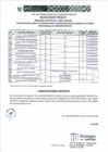 Vista preliminar de documento Resultados Finales