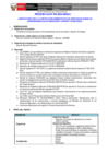Vista preliminar de documento Términos de Referencia