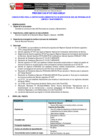 Vista preliminar de documento Términos de Referencia