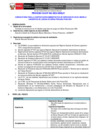 Vista preliminar de documento Términos de Referencia
