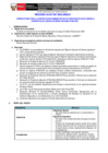 Vista preliminar de documento Términos de Referencia
