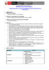 Vista preliminar de documento Términos de Referencia