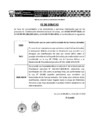 Vista preliminar de documento Fe de erratas