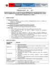 Vista preliminar de documento Términos de Referencia