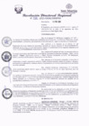 Vista preliminar de documento RDR 018.pdf