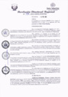 Vista preliminar de documento RDR 022.pdf