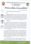 Vista preliminar de documento R.A. 209-2022.pdf