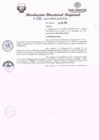 Vista preliminar de documento RDR 026.pdf