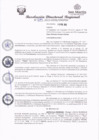 Vista preliminar de documento RDR 029.pdf