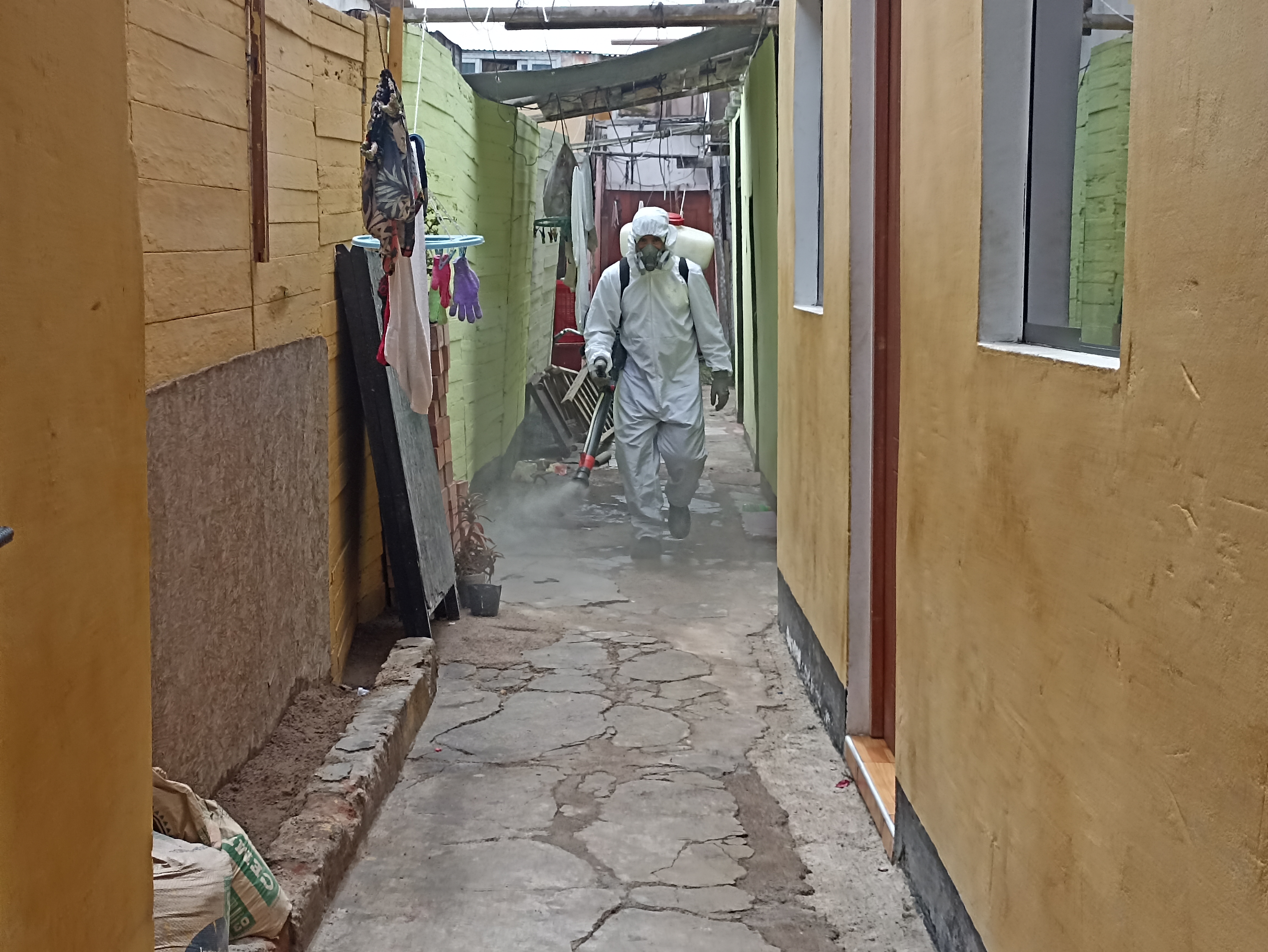 Para prevenir y evitar el dengue, estamos fumigando las calles del Callao.