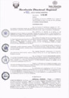 Vista preliminar de documento RDR 033.pdf