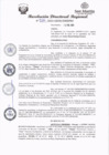 Vista preliminar de documento RDR 036.pdf