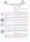Vista preliminar de documento RDR 038.pdf