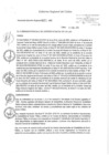 Vista preliminar de documento RESOLUCION-EJECUTIVA-REGIONAL-N°-031-2022.pdf