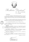 Vista preliminar de documento RD-044-2018-CENFOTUR-DN