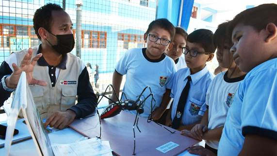 Prevención sobre el dengue.