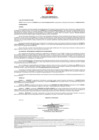 Vista preliminar de documento 353_3220336659-S-2020-SUTRAN_06.4.1