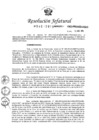 Vista preliminar de documento RESOLUCION-JEFATURAL-N°-046-2015.pdf