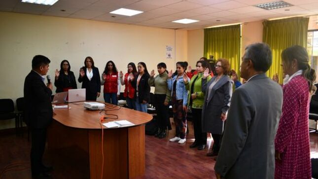 COMITÉ MULTISECTORIAL POR LOS DERECHOS DE LAS NIÑAS, NIÑOS Y ADOLESCENTES (COMUDEMA) SE ACTIVA EN EL DISTRITO DE ANDRÉS AVELINO CÁCERES DORREGARAY