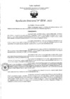 Vista preliminar de documento RD- 314.pdf