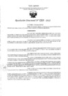 Vista preliminar de documento RD- 331.pdf