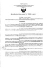 Vista preliminar de documento RD- 333.pdf