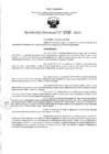 Vista preliminar de documento RD- 336.pdf