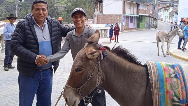 Carrera de burros con jinete previo a aniversario - Noticias -  Municipalidad Distrital de Cuchumbaya - Plataforma del Estado Peruano