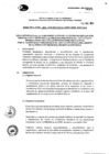 Vista preliminar de documento DIRECTIVA 0005 PELIGRO INMINENTE LLUVIAS.pdf