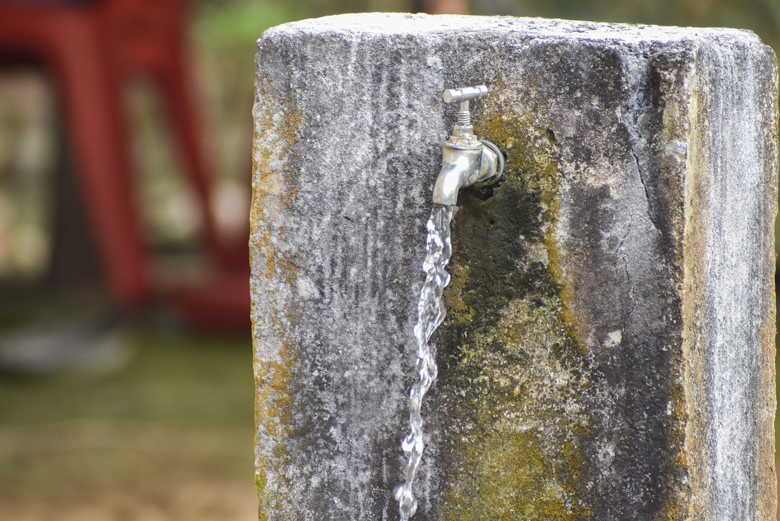 Día Mundial del Agua