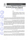 Vista preliminar de documento RDR N°105-2023.pdf