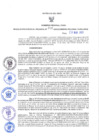 Vista preliminar de documento GRDS. 206 2023