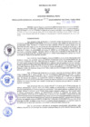 Vista preliminar de documento GRDS. 207 2023