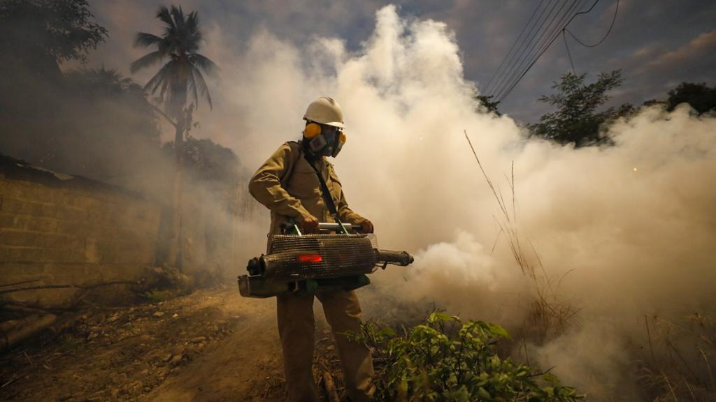 Minsa: regiones intensifican fumigación para controlar y eliminar la proliferación del zancudo del dengue
