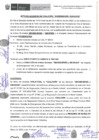 Vista preliminar de documento Acta de coalición.pdf