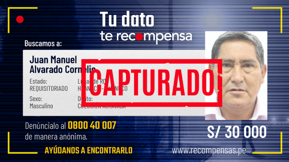 La Policía Nacional del Perú (PNP) capturó en Áncash al exgobernador regional de Huánuco, Juan Manuel Alvarado, de 63 años de edad, incluido en el Programa de Recompensas del Ministerio del Interior (Mininter), por el delito contra la administración pública en la modalidad de colusión agravada.
Alvarado Cornelio fue capturado por el personal de la División Macrorregional de Inteligencia de Huánuco cuando se disponía a salir de una vivienda ubicada en la urbanización Amauta, distrito de Nuevo Chimbote, provincia de El Santa, en Áncash.
Su captura fue posible gracias a la información proporcionada por un ciudadano colaborador que dio la pista para su inmediata detención. Por la información que contribuya a su captura, el Programa de Recompensas del Mininter ofreció una recompensa de 30 mil soles.
Tras la intervención, la exautoridad regional fue trasladada a las instalaciones de la comisaría PNP Buenos Aires, en Nuevo Chimbote, donde se iniciaron las diligencias respectivas.
El exgobernador regional presenta dos requisitorias: una por el delito contra la administración pública en la modalidad de colusión agravada, solicitada con oficio N° 495 del 26 de setiembre del 2022, y otra solicitada con oficio N° 845 del 2 de marzo del 2023, por el Tercer Juzgado de Investigación Preparatoria de Huánuco.
La Policía informó que, tras las diligencias preliminares, el detenido será trasladado a la ciudad de Huánuco para ser puesto a disposición del Juzgado Penal que lo procesa.
Según la acusación fiscal, la exautoridad regional es requerida por la justicia por la compra irregular de 7 995 computadoras portátiles y por liderar la presunta organización criminal “Los negociadores de la región”, que se encargaría de direccionar las obras del Gobierno Regional para favorecer a sus hijos, su sobrino y demás allegados.
Línea gratuita y web
Aquellos ciudadanos que tengan información sobre los prófugos incluidos en la lista del Programa de Recompensas pueden cooperar con las autoridades llamando al 0800 40 007, de manera gratuita y con todas las garantías de seguridad y confidencialidad.
Para conocer los rostros de los requisitoriados por estos y otros delitos incluidos en el Programa de Recompensas, pueden ingresar al sitio www.recompensas.pe.