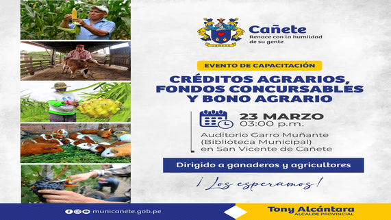 ARCHIVO IMAGEN 1