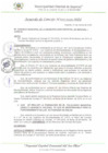 Vista preliminar de documento AC_022_2023_MDI.pdf