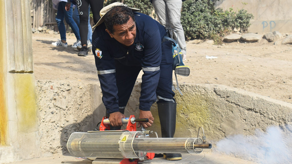 Fumigación de viviendas