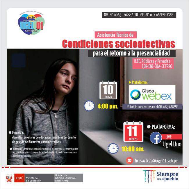 Asistencia técnica de condiciones socioafectivas para el retorno a la presencialidad en las ie públicas y privadas ebr-ebe-eba-cetpro
