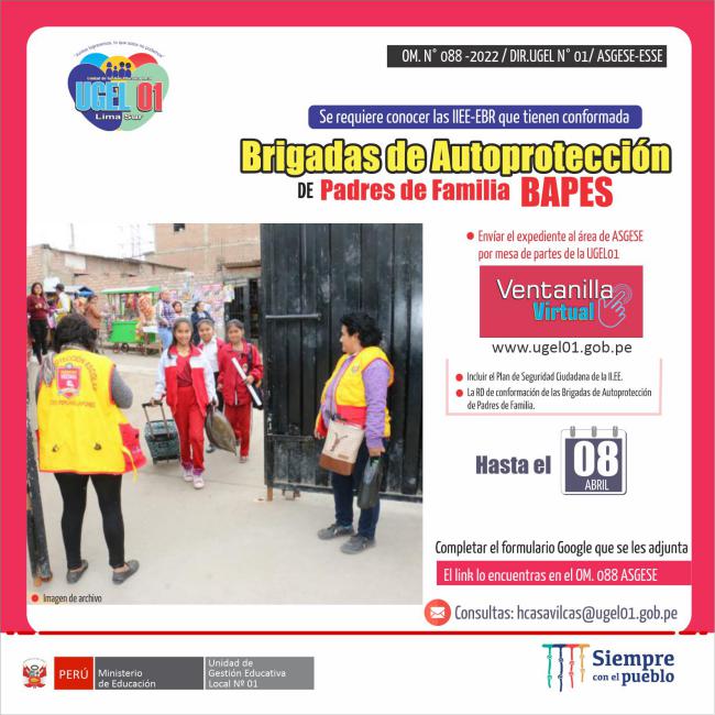 Ii.ee. ebr que tienen conformada las brigadas de autoprotección de padres de familia 2022