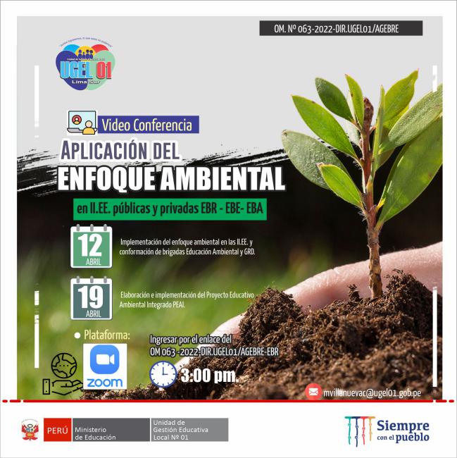 Videoconferencia: aplicación del enfoque ambiental en las instituciones educativas públicas y privadas de educación básica