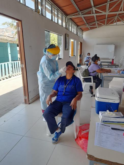 Docentes pasan prueba covid 19 en ie 6020 micaela bastidas de vmt
